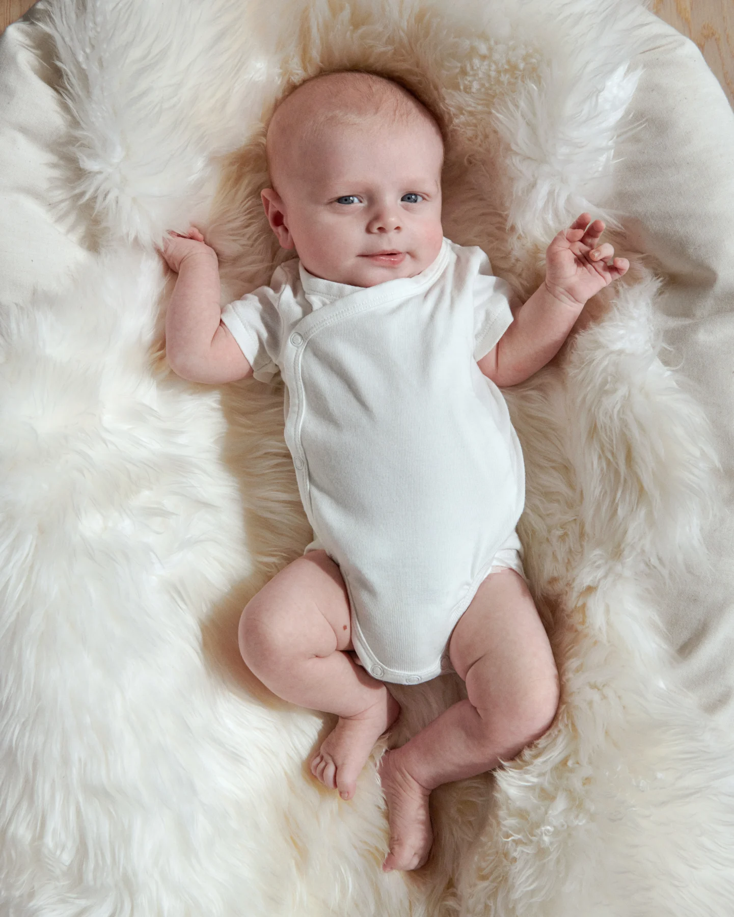 Myhrborg Family family portrait photography — image 5