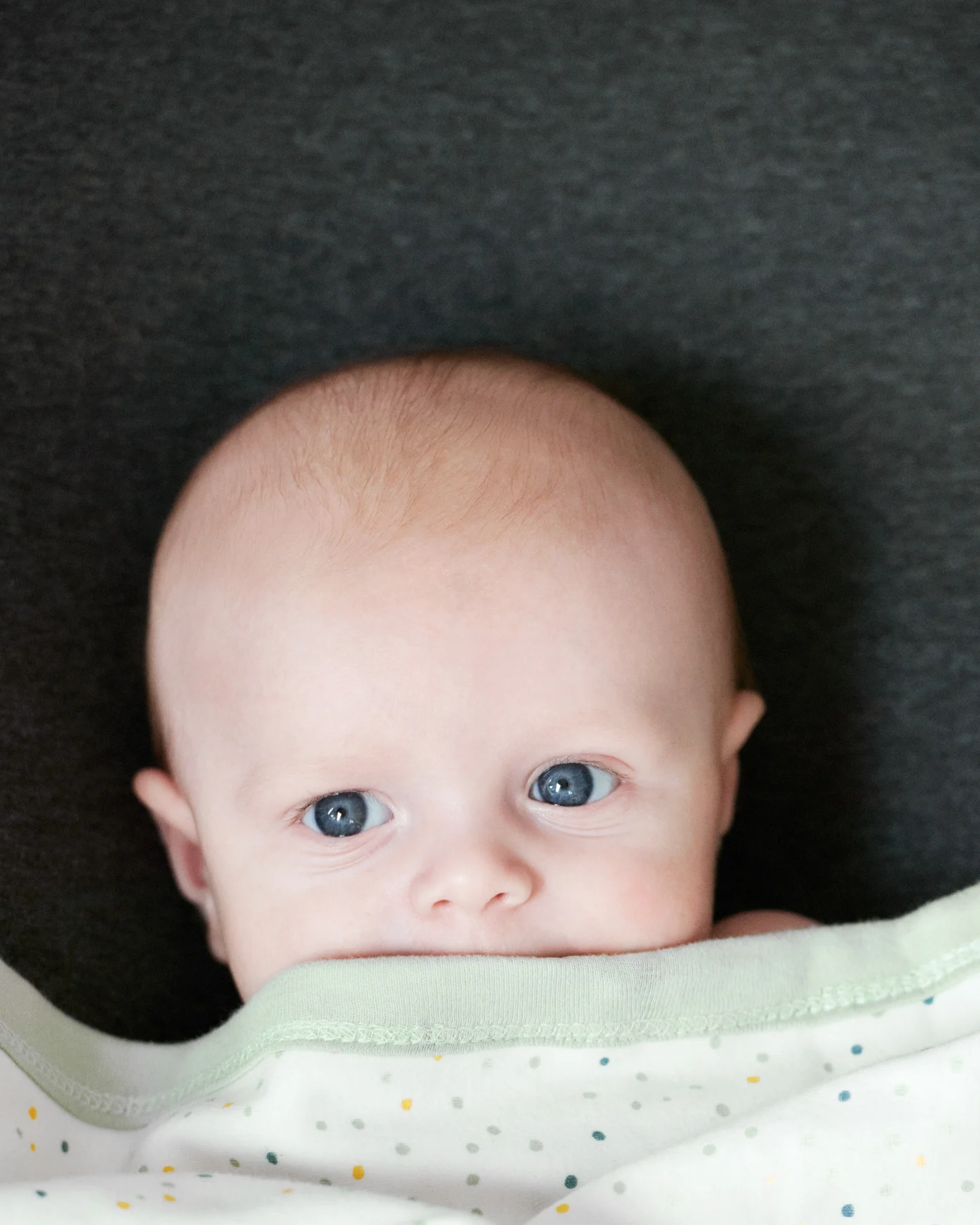 Myhrborg Family family portrait photography — image 12
