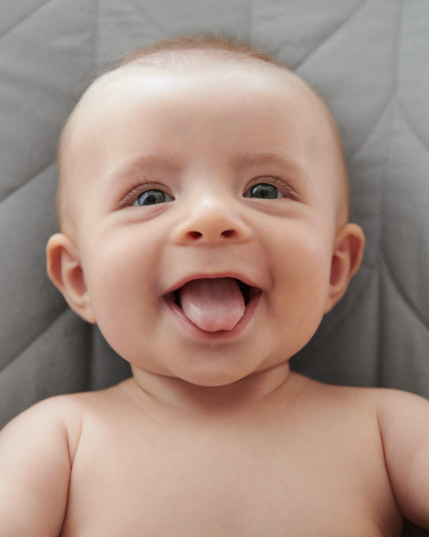 Svensson Family family portrait photography — image 5
