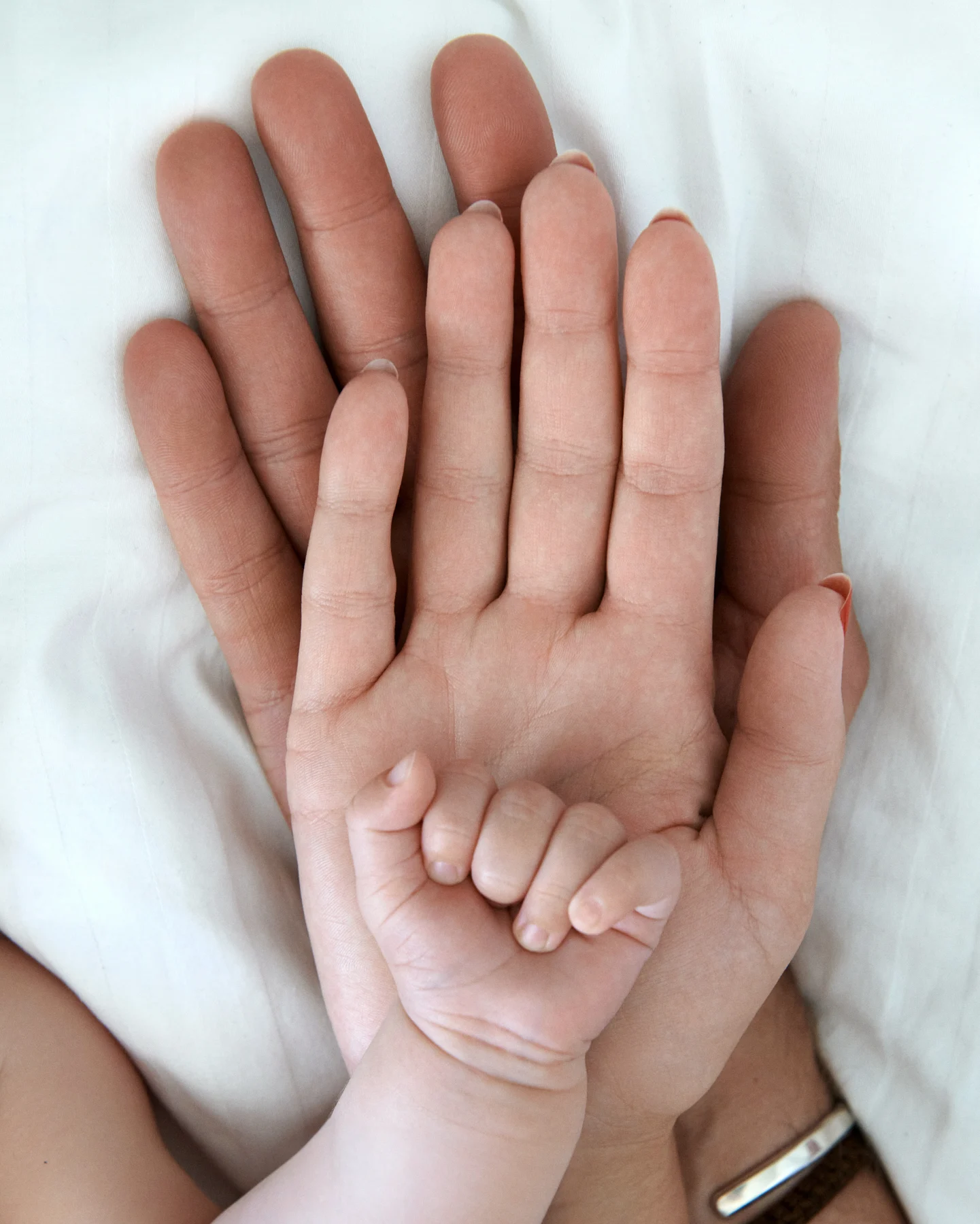 Svensson Family family portrait photography — image 4