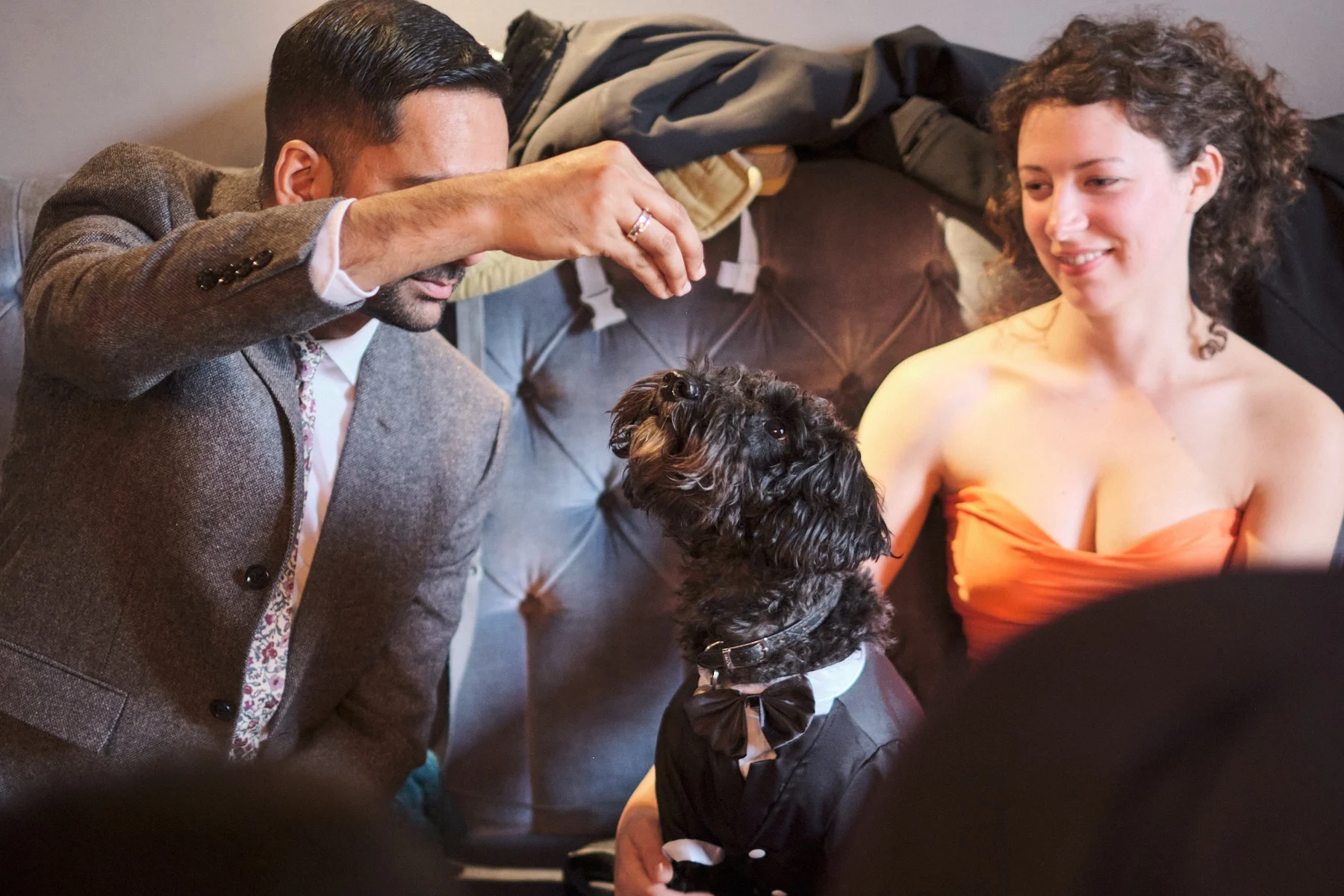 Daniel & Josie wedding photography — image 83